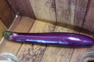 食譜 蒜蓉粉絲蒸茄子